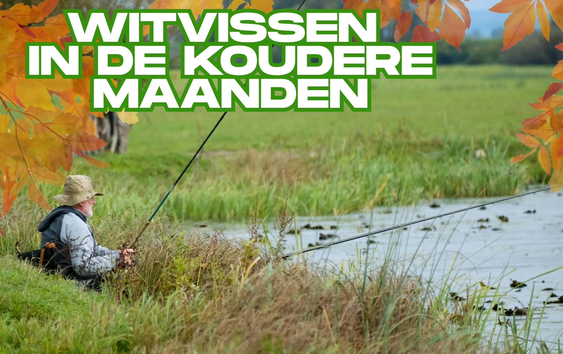 Witvissen, voorn, brasem in koudere maanden